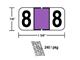 M-R5838P - Purple Numeric 8 Ringbook Sheets (240 pkg)